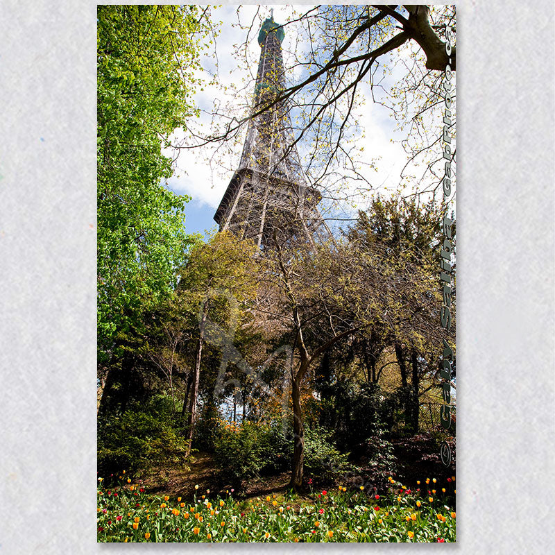 "Eiffel Tower" photograph by Canadian photographer Gaby Saliba.