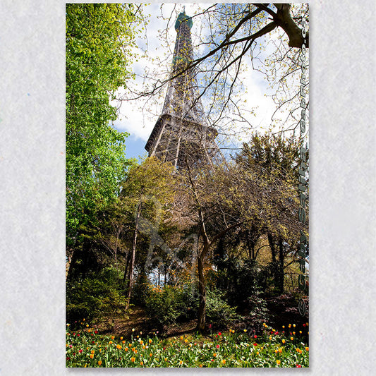 "Eiffel Tower" photograph by Canadian photographer Gaby Saliba.
