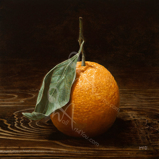 "Appeal" is a hyperrealist art work with an orange as the subject. It is hard to beleive that the original is a painting and not a photograph.