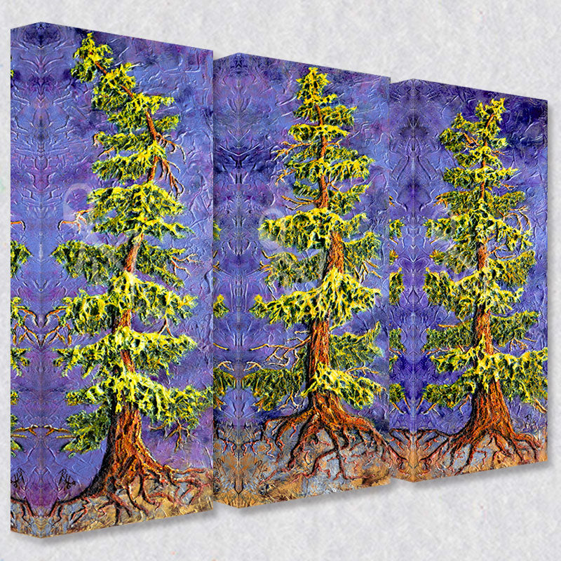 "Dark Skies" comes as a gallery wrapped canvas print with a rich 1.5 inch thick wood frame. We use a moisture resistant poly-cotton canvas that will not sag and high quality inks that will last over 100 years.