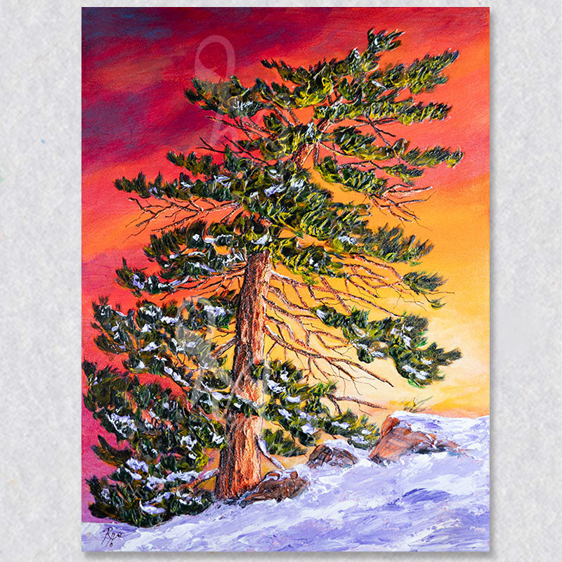 "Pining for Summer" wall art captures a old large pining tree partially covered with melting snow on a backdrop of a promising red, purple, orange and yellow sky. A promise of warmer days to come.