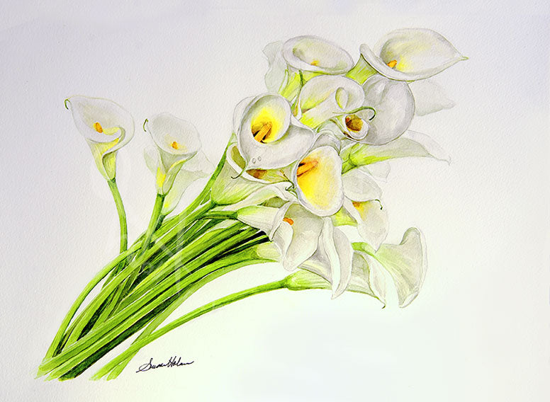 Calla Lilies