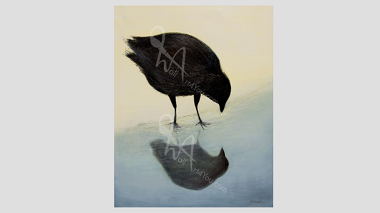 Discovering 'Hello' by Victoria Mitchell: A Crow's Reflection Canvas Print