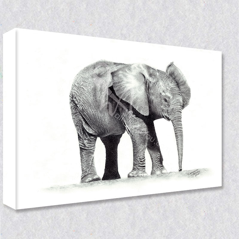 "Savana Sprout" comes as a gallery wrapped canvas print with a rich 1.5 inch thick wood frame. We use a moisture resistant poly-cotton canvas that will not sag and high quality inks that will last over 100 years.