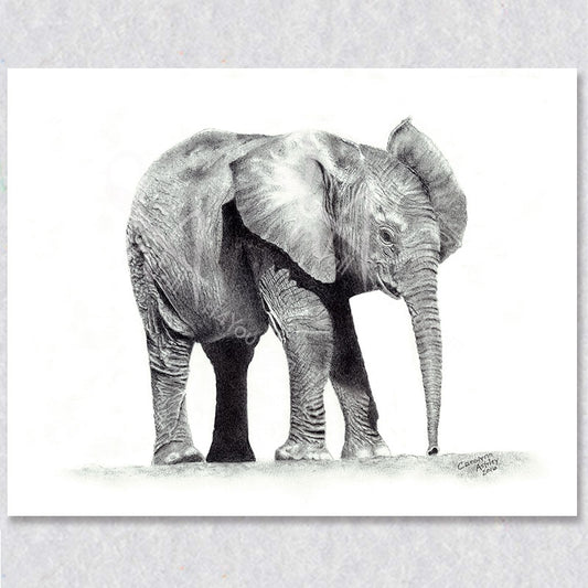 "Savanna Sprout" wall art depicts a brand new baby elephant born on the savanna of African.