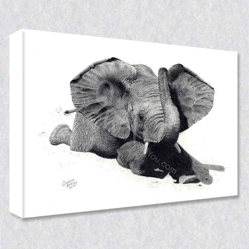 "Tiny Tusk" comes as a gallery wrapped canvas print with a rich 1.5 inch thick wood frame. We use a moisture resistant poly-cotton canvas that will not sag and high quality inks that will last over 100 years.