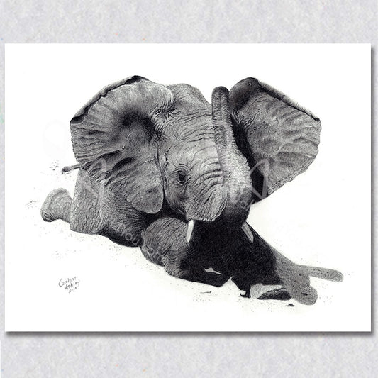 "Tiny Tusk" wall art depicts a baby elephant playing in the sand.