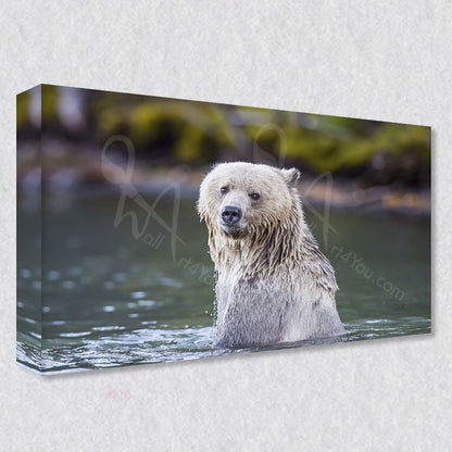 "Blondie" the rare blonde grizzly bare is available as high quality gallery wrapped canvas prints that are available in five different sizes to fit your wall perfectly.
