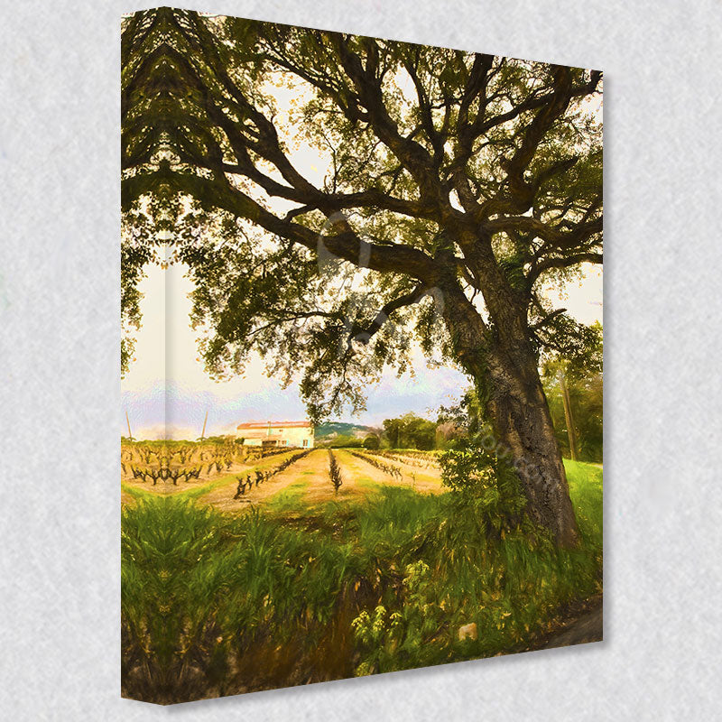 "Cork Tree Serenity" photograph comes as a gallery wrapped canvas print available in five different sizes.