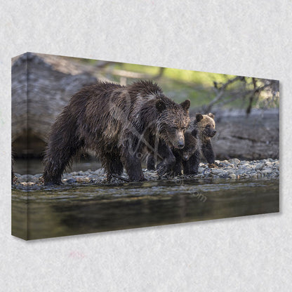 "Family Bond" wall art is available in five different gallery wrapped canvas print sizes to fit your wall perfectly.