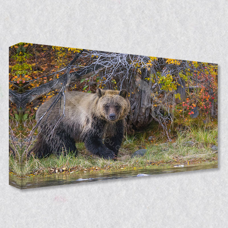 "Gentle Giant" photograph is available as gallery wrapped canvas prints coming five different sizes to fit your wall perfectly.