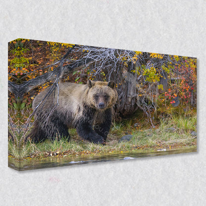 "Gentle Giant" photograph is available as gallery wrapped canvas prints coming five different sizes to fit your wall perfectly.