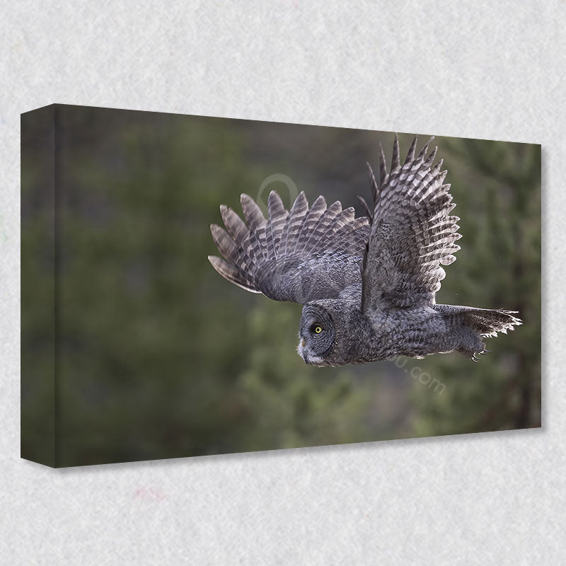 "In Flight" photograph is available on gallery wrapped canvas prints that can be ordered in five different sizes.
