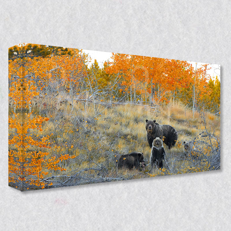 This stunning photograph of a grizzly bear family is available has high quality gallery wrapped canvas prints that come in five different sizes to fit your wall perfectly.