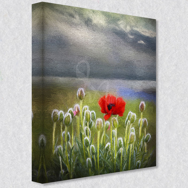"Solitary Beauty" photograph is available as a gallery wrapped canvas print that comes in three different sizes and is ready to hang on your wall.