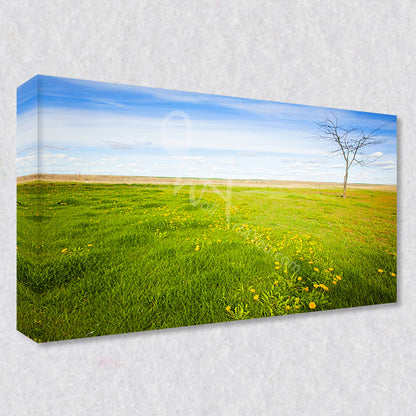 "Solitude's Sympony" photograph comes as a gallery wrapped canvas print you can order in five different sizes.