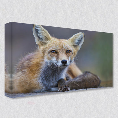 "Unexpected Encounter" photograph is available as a gallery wrapped canvas print that comes in five different sizes.
