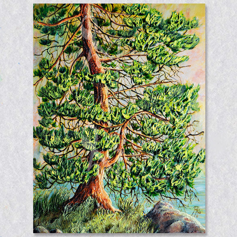 "Lake Pine" wall art depicts a large green pine tree growing at near the lake shore.