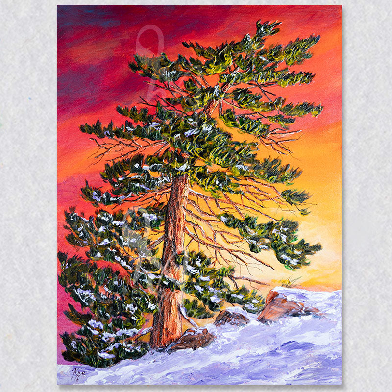 "Pining for Summer" wall art captures a old large pining tree partially covered with melting snow on a backdrop of a promising red, purple, orange and yellow sky.  A promise of warmer days to come.