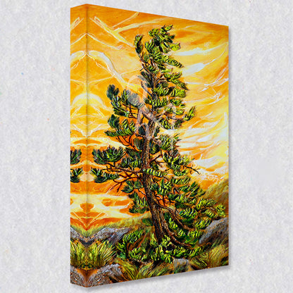 "Summer Pine" comes as a gallery wrapped canvas print with a rich 1.5 inch thick wood frame. We use a moisture resistant poly-cotton canvas that will not sag and high quality inks that will last over 100 years.