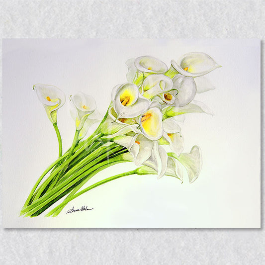 Watercolour print of Calla Lilies that symbolize a sense of tranquility and simplicity.