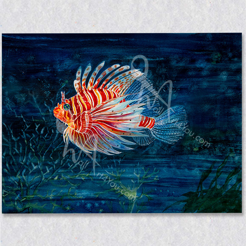 This original watercolour captures the colourful lionfish.