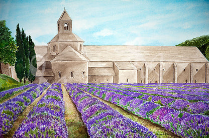 Lavender Field of Senanque